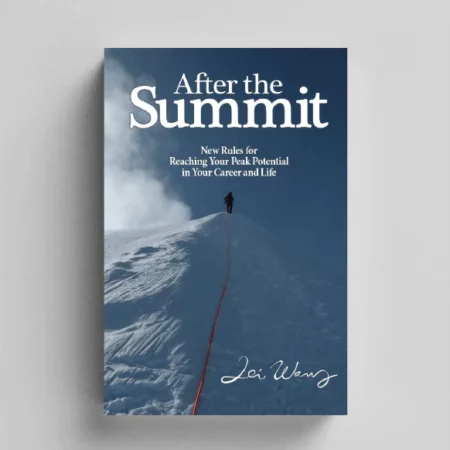 After the Summit | Lei Wang